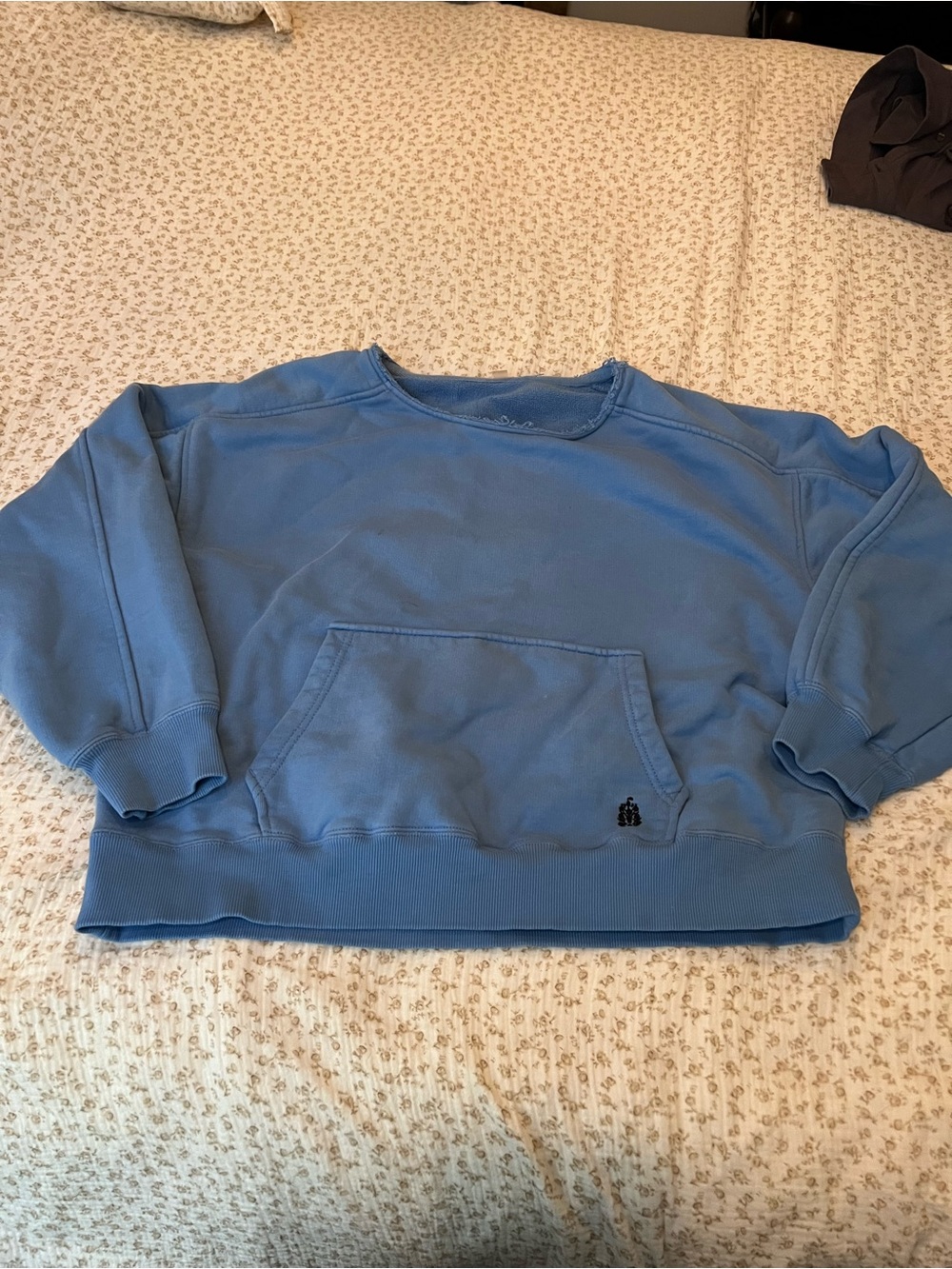 Free People Light Blue Cropped Crewneck Sweatshirt